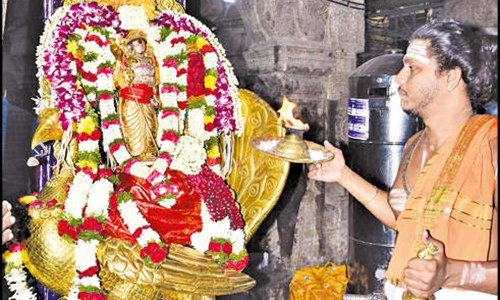 பழனி முருகன் கோவிலில் ஐப்பசி மாத கார்த்திகை உற்சவ விழா