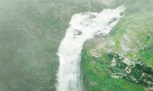 கொடைக்கானலில் தொடர் மழையால் ஆர்ப்பரித்துக் கொட்டும் தூவ‌த்தூர் அருவி