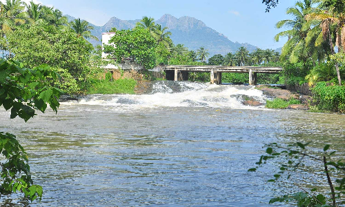 திற்பரப்பில் 26.4 மி.மீ. மழை