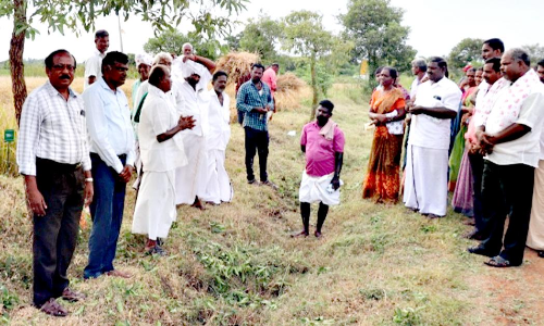 நெல் அறுவடை திருவிழா