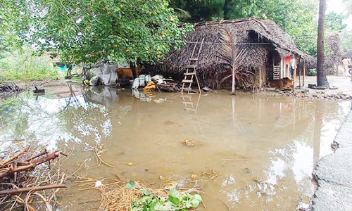 குடிசைப் பகுதியில் தேங்கியுள்ள  மழைநீரை அகற்ற வேண்டும்
