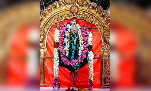 கிருத்திகை முன்னிட்டு  முருகன் கோவில்களில்  சிறப்பு அபிஷேக ஆராதனை