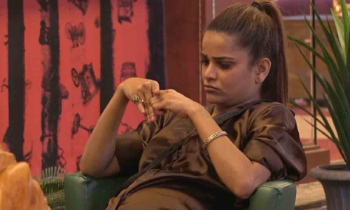 பிக்பாஸ் நிகழ்ச்சியில் அடிதடி: சக போட்டியாளரை தாக்கிய நடிகை வெளியேற்றம்