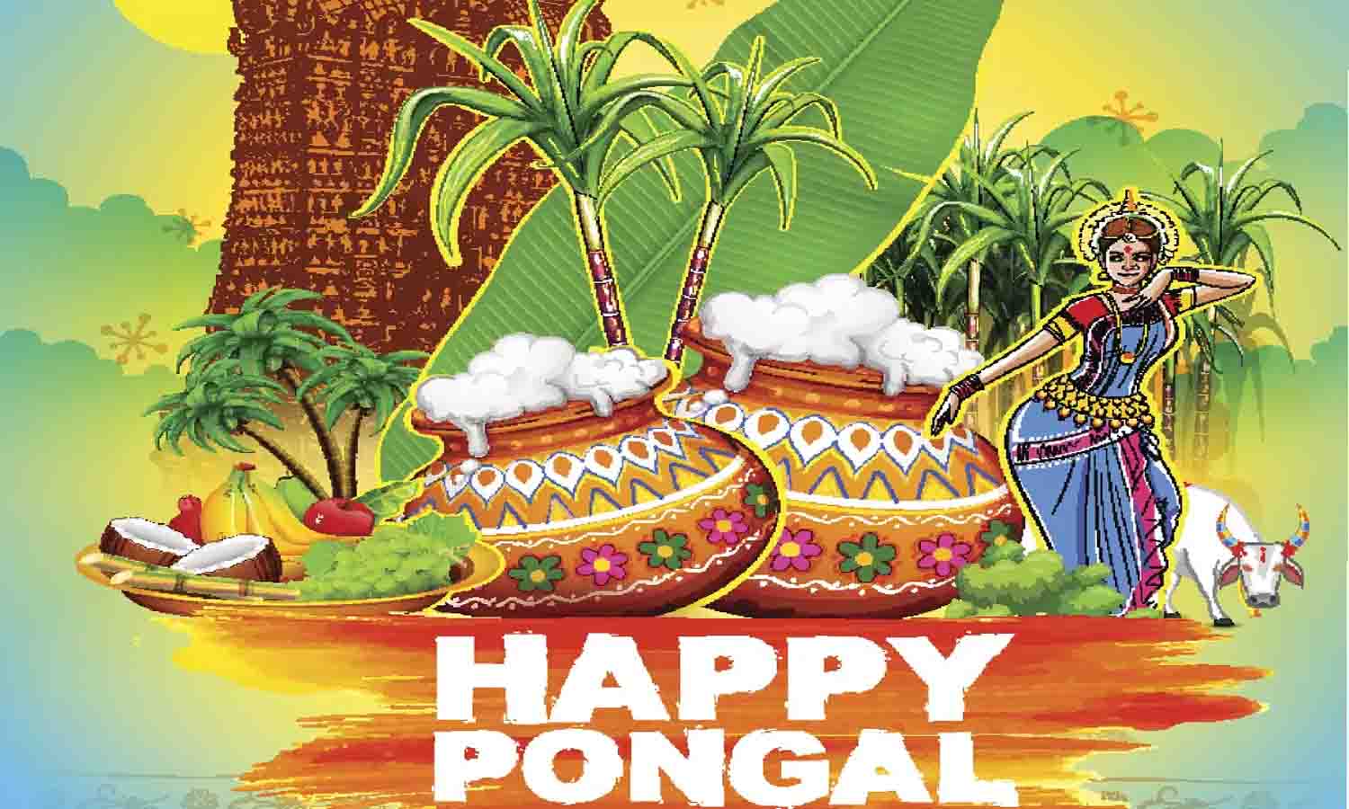 பொங்கலையொட்டி நொய்யல் பண்பாட்டு திருவிழா நடத்த முடிவு