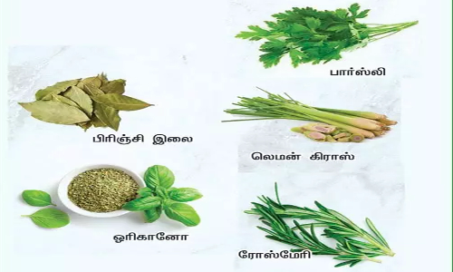 ஆரோக்கியம் காக்கும் சீசனிங் மூலிகைகள்