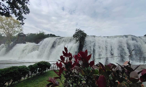 அடையாமடையில் 33 மி.மீ. மழை