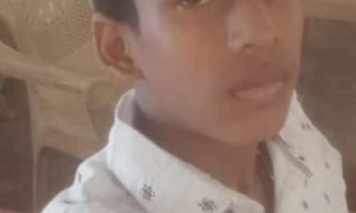 மினி பஸ் மோதி மாணவன் பலி