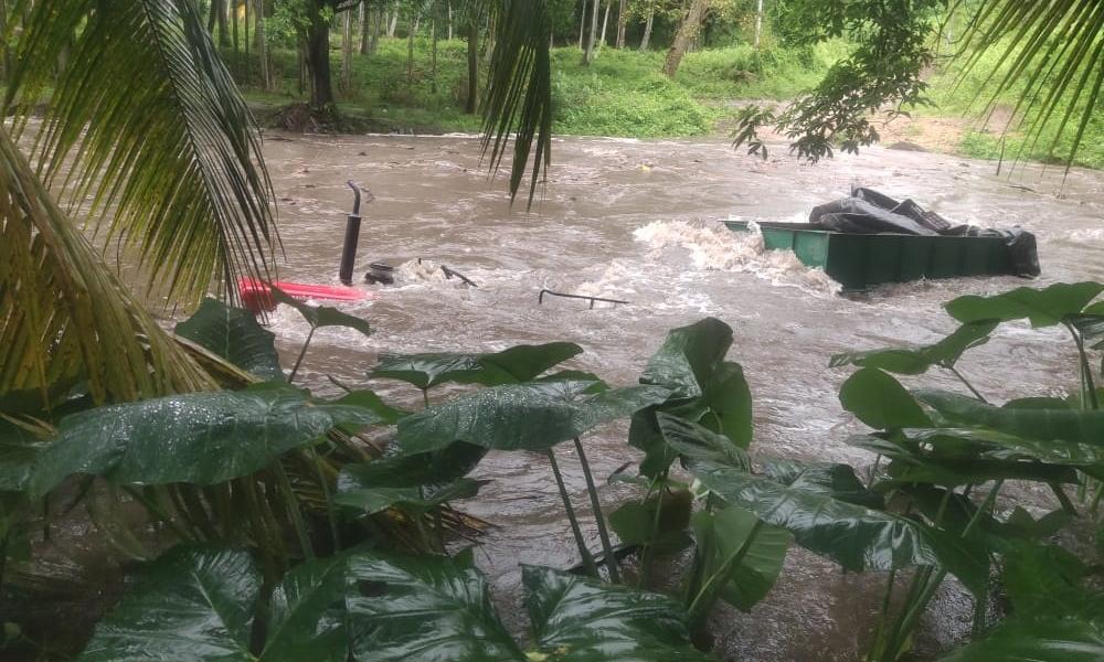 வெள்ளப்பெருக்கால் கொட்டக்குடி ஆற்றில் மாங்காய் லோடுடன் அடித்து செல்லப்பட்ட டிராக்டர் வெள்ளப்பெருக்கால் கொட்டக்குடி ஆற்றில் மாங்காய் லோடுடன் அடித்து செல்லப்பட்ட டிராக்டர்