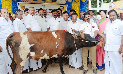 கால்நடை பாதுகாப்பு திட்ட முகாம்