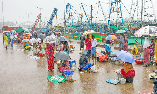 மீன் வாங்குவதற்கு பொது மக்கள் வராததால்  கடலூர் துறைமுகம்  வெறிச்சோடியது