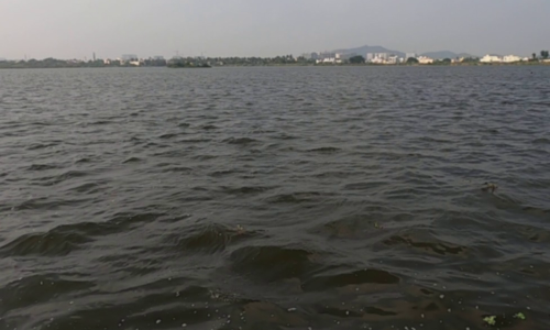 காஞ்சிபுரம், செங்கல்பட்டு-திருவள்ளூர் மாவட்டத்தில் 289 ஏரிகள் நிரம்பின