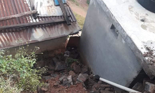 நீலகிரியில் 5 இடங்களில் மரங்கள் முறிந்து விழுந்தன