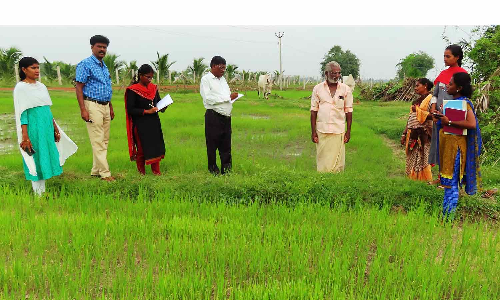 பயிர்க்காப்பீடு செய்ய காலநீட்டிப்பு வேண்டும் -  முதல்வருக்கு விவசாயிகள்  கோரிக்கை     பயிர்க்காப்பீடு செய்ய காலநீட்டிப்பு வேண்டும் -  முதல்வருக்கு விவசாயிகள்  கோரிக்கை