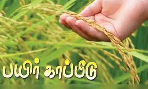 2ம் போக நெல் சாகுபடி செய்யும்  விவசாயிகள் பயிா்   காப்பீடு செய்ய வேண்டுகோள்