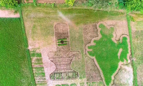 சிவலிங்கம், இந்திய வரைபடம் வடிவில் நெற்பயிர் சாகுபடி- விவசாயியின் புதுமையான முயற்சி