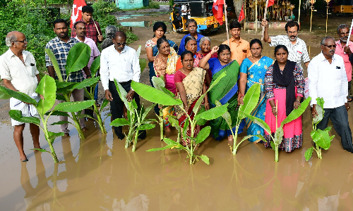 திண்டுக்கல்லில் இன்று சேதமடைந்த சாலையில் மரக்கன்று நட்டு போராட்டம்