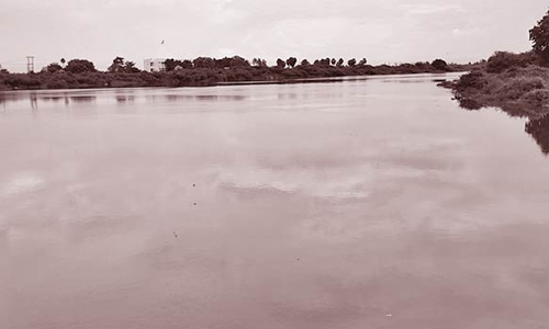 ஆரணி ஆற்றில் வெள்ளப்பெருக்கால் 2 தரைப்பாலங்கள் மூழ்கின- 25 கிராமங்கள் துண்டிப்பு