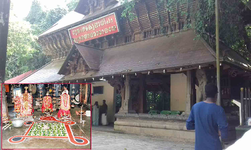 அனைத்து தோஷங்களுக்கும் பரிகார தலமாக விளங்கும் மண்ணாரசாலை நாகராஜா கோவில்