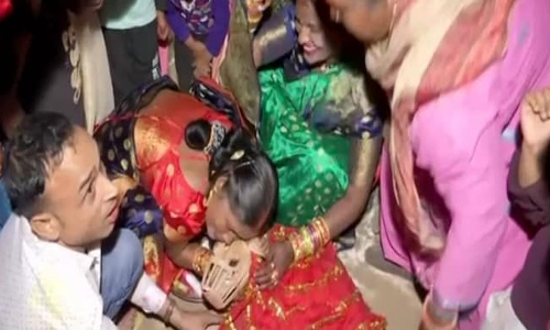 அக்கம்பக்கத்தினருக்கு அழைப்பிதழ் கொடுத்து நாய்களுக்கு இந்து முறைப்படி திருமணம் நடத்திய தம்பதிகள்