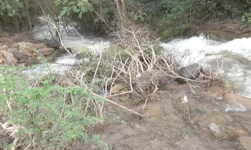 ஓசூர் அருகே சேதமடைந்த ஏரிக்கரை:   உடையும் அபாயத்தில் உள்ளதால் பொதுமக்கள், விவசாயிகள் அச்சம்