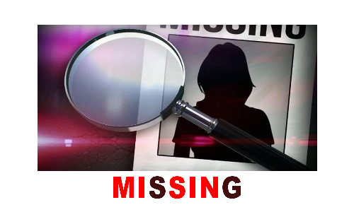 மூலைக்கரைப்பட்டி அருகே சிறுமி மாயம்