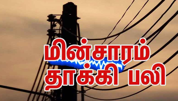 மின்சாரம் தாக்கி கூலித் தொழிலாளி பலி