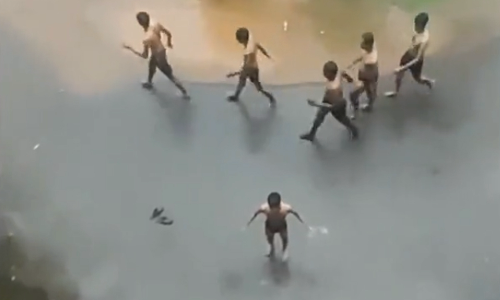 ராகிங் செய்தது நிரூபணமானால் 7 மாணவர்கள் நிரந்தரமாக நீக்கம்- ஐகோர்ட்டில் கல்லூரி நிர்வாகம் தகவல்