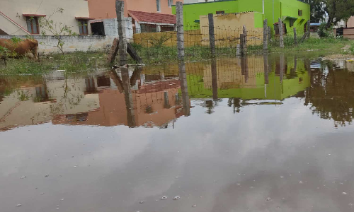 உடுமலையில் குளம் போல் தேங்கி கிடக்கும் மழைநீர் -   பொதுமக்கள்  அவதி