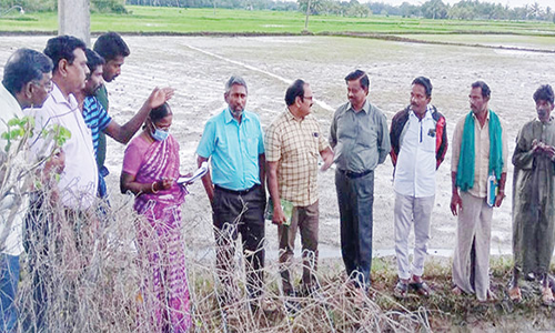 மழையால் பாதிக்கப்பட்ட பகுதிகளை மத்திய குழுவினர் ஆய்வு