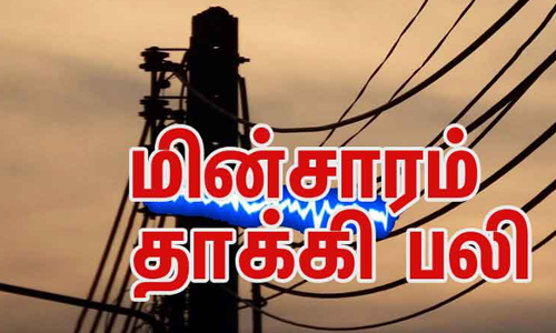 மின்சாரம் தாக்கி கூலித் தொழிலாளி பலி