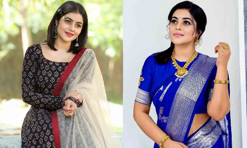 திருமணம் செய்வதாக மோசடி: நடிகை பூர்ணா வழக்கில் கோர்ட்டு புதிய உத்தரவு