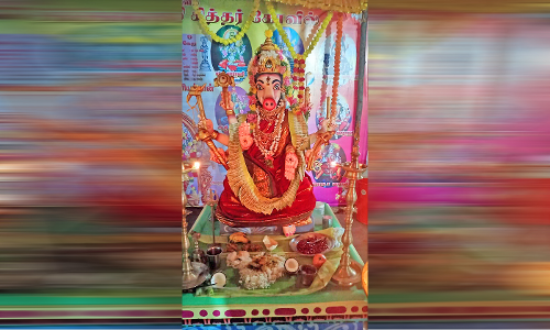 விளாத்திகுளம் வாராஹி அம்மன் கோவிலில்  சிறப்பு அபிஷேகம்