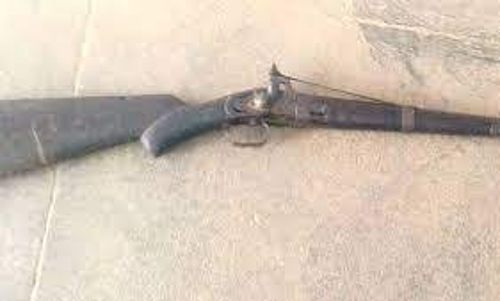 நாட்டு துப்பாக்கி வைத்திருந்த 2 பேர் கைது