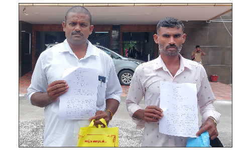 பாப்பாரப்பட்டி அடுத்த பிக்கிலி கொல்லப்பட்டி மலை கிராமத்தில்   பயிர்களை நாசப்படுத்தும் காட்டு யானைகளை தடுக்க மின்வேலி   -கலெக்டரிடம் விவசாயிகள் கோரிக்கை