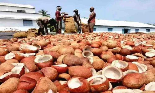 வெள்ளகோவிலில் ரூ.56லட்சத்துக்கு தேங்காய் பருப்பு ஏலம்