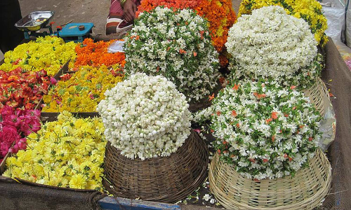 மழை, பனிப்பொழிவால் நிலக்கோட்டை மார்க்கெட்டில் பூக்கள் வரத்து குறைவு