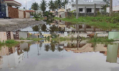 உடுமலை அருகே குடியிருப்புகளை சூழ்ந்த மழை நீர்