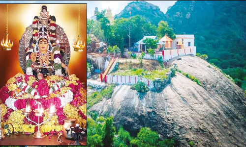 பொட்டல் குளம் அய்யன்மலை ஐயப்பசாமி கோவிலில் நாளை விரதம் தொடங்கும் பக்தர்கள்