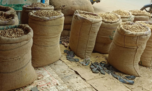 ரூ.1.59 கோடி மதிப்பிலான விதை கடலை விற்பனை செய்ய தடை