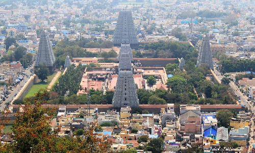 திருவண்ணாமலை கார்த்திகை மகாதீப விழாவில் மலை ஏறுவதற்கு 2,500 பக்தர்களுக்கு மட்டுமே அனுமதி