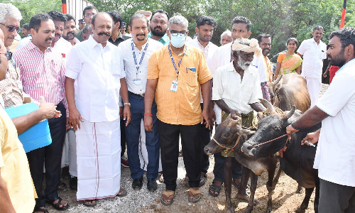 மழையால் சேதமடைந்த பகுதிகளில்  உடனடியாக சீரமைப்பு பணிகள்