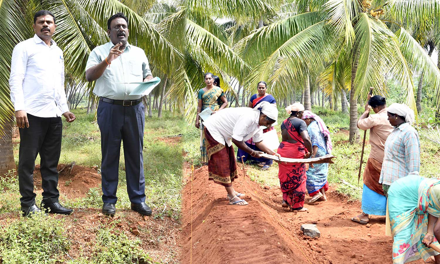 தேனி ஊராட்சி ஒன்றியப்பகுதிகளில் வளர்ச்சித்திட்டப்பணிகள் குறித்து கலெக்டர் ஆய்வு தேனி ஊராட்சி ஒன்றியப்பகுதிகளில் வளர்ச்சித்திட்டப்பணிகள் குறித்து கலெக்டர் ஆய்வு