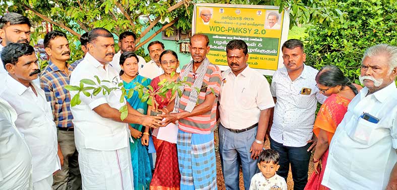 விளாத்திகுளம் அருகே மரக்கன்றுகள் வழங்கும் விழா - மார்க்கண்டேயன் எம்.எல்.ஏ. பங்கேற்பு