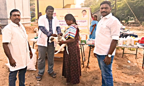 கால்நடை விழிப்புணர்வு முகாம்