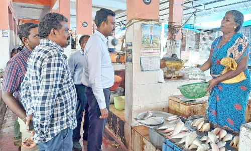 குளச்சல் பஸ் நிலையத்தில் கலெக்டர் திடீர் ஆய்வு - மீன் சந்தையையும் பார்வையிட்டார்