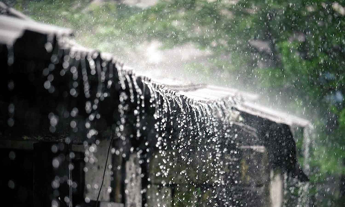 உடுமலை அருகே  மழையால் 2 வீடுகள் இடிந்தன