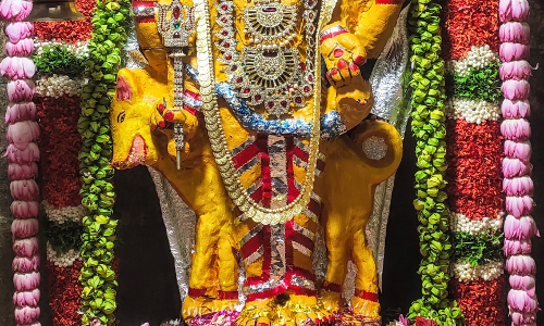 கோவில்களில் பைரவருக்கு சிறப்பு வழிபாடு