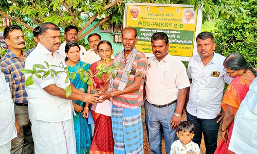 விளாத்திகுளம் அருகே மரக்கன்றுகள் வழங்கும் விழா - மார்க்கண்டேயன் எம்.எல்.ஏ. பங்கேற்பு