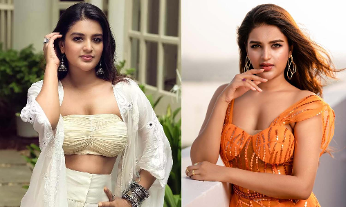 உதயநிதியிடம் இருந்து நிறைய கற்றுக் கொண்டேன் - நடிகை நிதி அகர்வால்