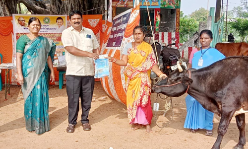 கால்நடை சிகிச்சை முகாம்